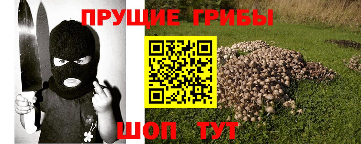 Красноуфимск  Псилоцибиновые грибы прущие грибы  Псилоцибиновые грибы MAGIC MUSHROOMS  Вход с VPN 